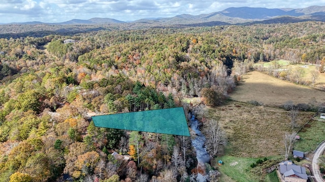 LOT332 Pocaset Dr, Ellijay, GA 30540