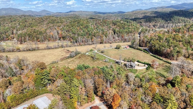 LOT332 Pocaset Dr, Ellijay, GA 30540