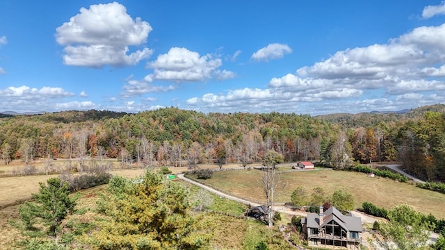 LOT332 Pocaset Dr, Ellijay, GA 30540