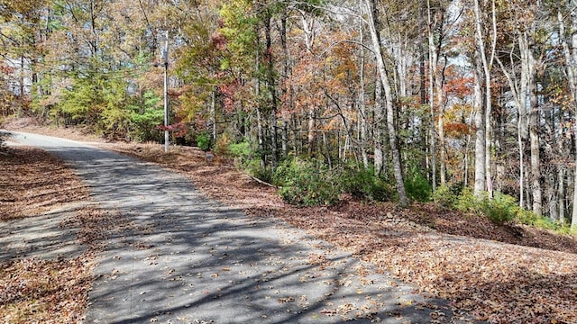 LOT332 Pocaset Dr, Ellijay, GA 30540