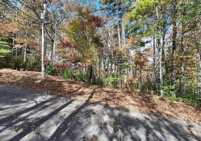 LOT332 Pocaset Dr, Ellijay, GA 30540