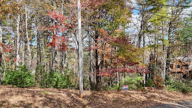 LOT332 Pocaset Dr, Ellijay, GA 30540