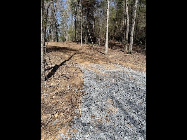 TRB E New Hope Rd E, Ellijay, GA 30536