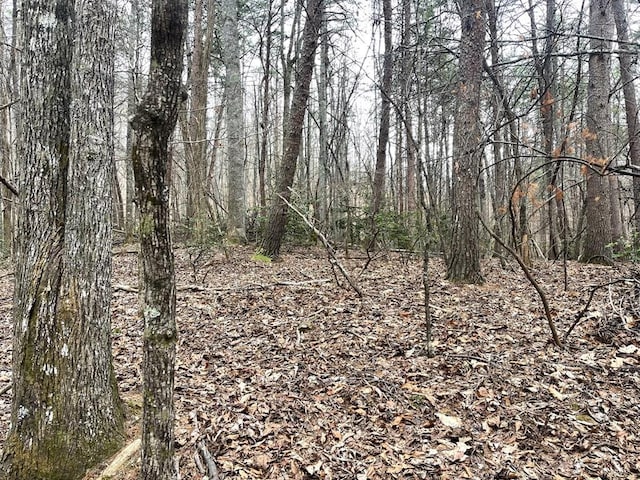 LOT13 Wilderness Rdg, Sub, Blairsville GA, 30512 land for sale