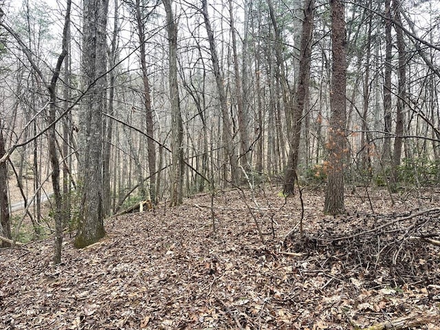 Listing photo 2 for LOT13 Wilderness Rdg, Sub, Blairsville GA 30512