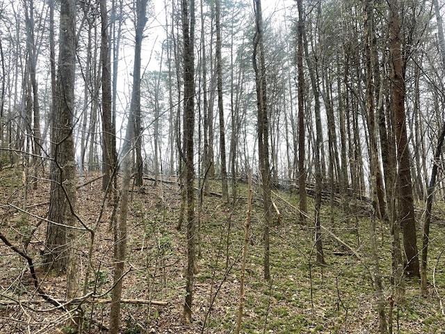 Listing photo 3 for LOT13 Wilderness Rdg, Sub, Blairsville GA 30512