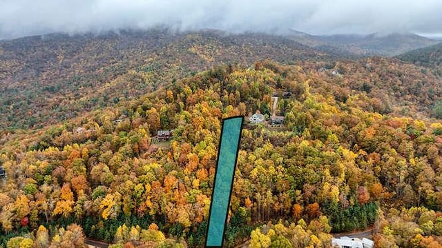 35 Chestnut Mountain Rd, Blairsville GA, 30512 land for sale