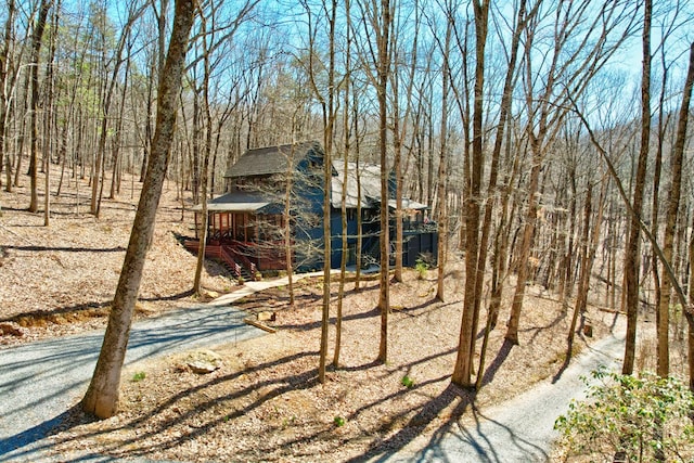 view of yard featuring driveway and a view of trees