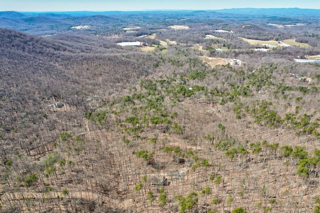 bird's eye view featuring a mountain view