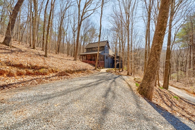 view of road with driveway