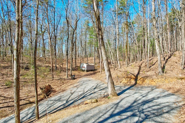 view of road featuring a view of trees