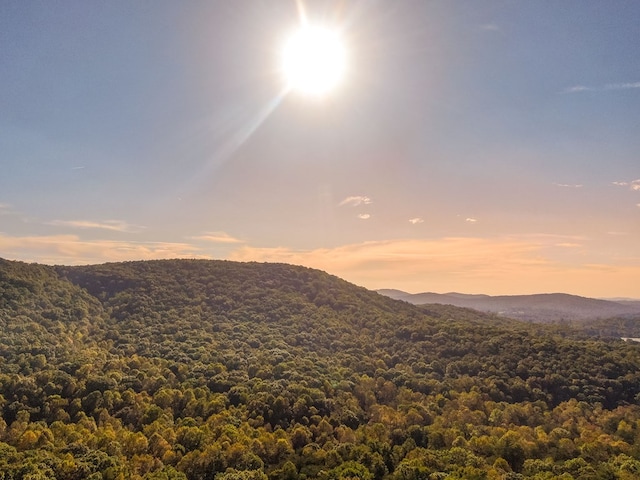 mountain view featuring a view of trees