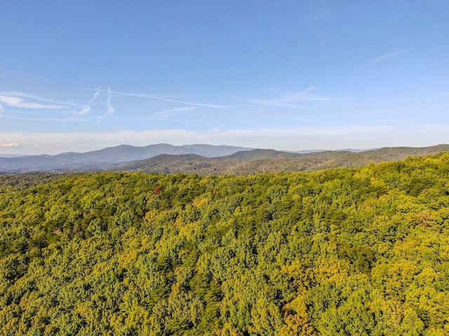 property view of mountains featuring a wooded view