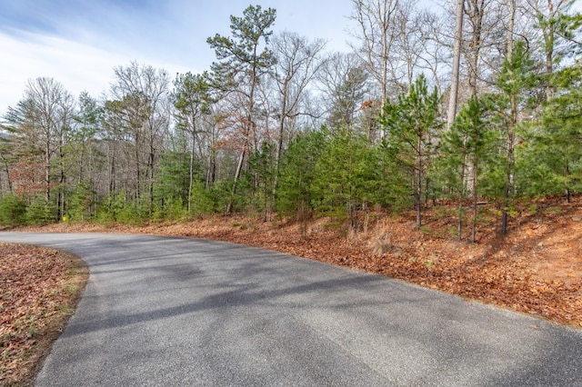 Listing photo 3 for LOT44 Sharp Top, Blairsville GA 30512