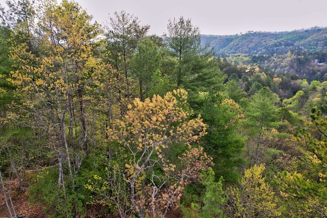 Listing photo 3 for LOT53 Community Hill Dr, Blue Ridge GA 30513