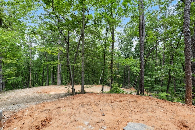43 Old Federal Rd, Talking Rock, GA 30175 - view of woods