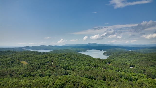 43 Old Federal Rd, Talking Rock, GA 30175 - mountain view with a heavily wooded area and a nearby body of water