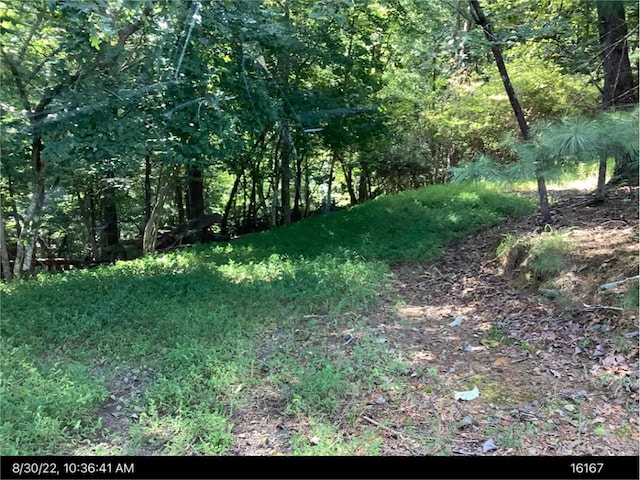 LOT715 Hilary Ct, Ellijay GA, 30540 land for sale