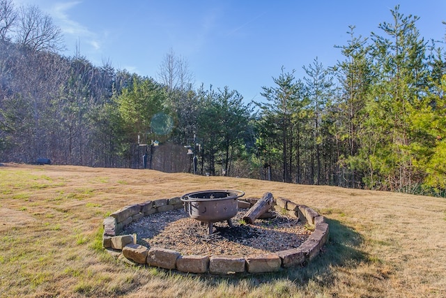 view of yard with a fire pit