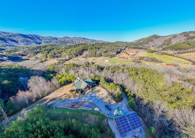 birds eye view of property featuring a mountain view