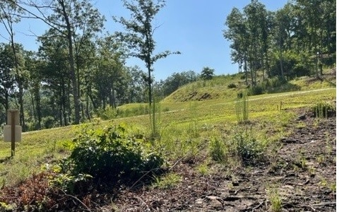 119 Highland Park, Blairsville GA, 30512 land for sale