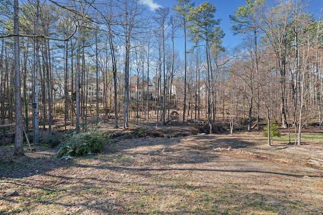 735 Amberton Close, Suwanee, GA 30024 - view of yard