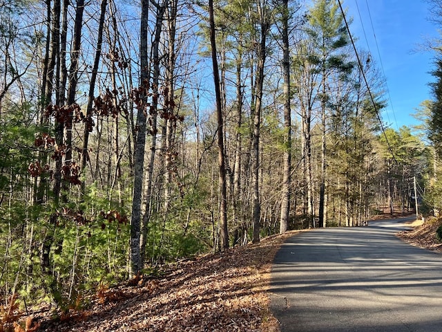 Listing photo 3 for LOT622 Sapulpa Ct, Ellijay GA 30540