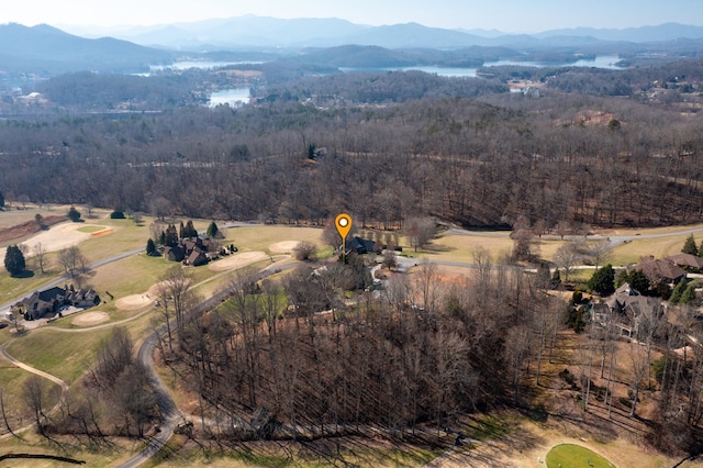 birds eye view of property featuring a mountain view and a rural view