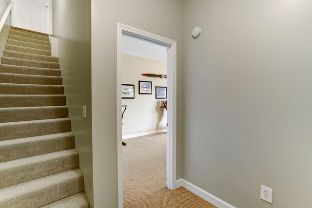 staircase with light colored carpet