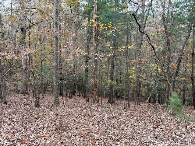 LOT164 Foxhound Dr, Ellijay GA, 30540 land for sale