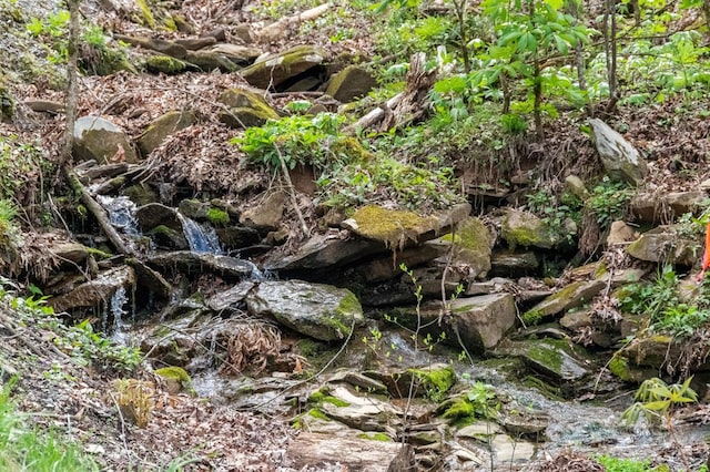 view of local wilderness with a water view