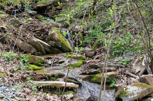 view of local wilderness featuring a water view