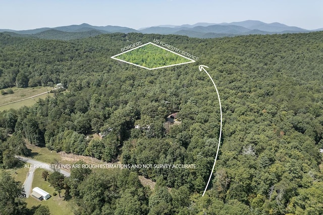 10AC Doublehead Gap Rd, Blue Ridge GA, 30513 land for sale