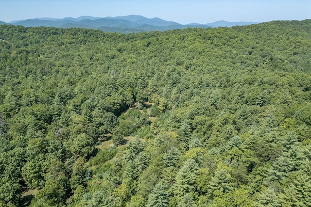 Listing photo 3 for 10AC Doublehead Gap Rd, Blue Ridge GA 30513