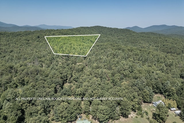 Listing photo 3 for 10AC Doublehead Gap Rd, Blue Ridge GA 30513