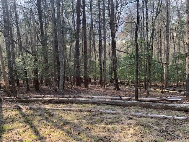 LOT12 Mountain Creek Rd, Blue Ridge, GA 30513 - view of yard