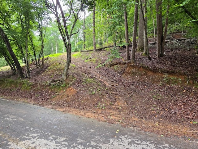 LOT644 Edgewater Dr, Ellijay, GA 30540
