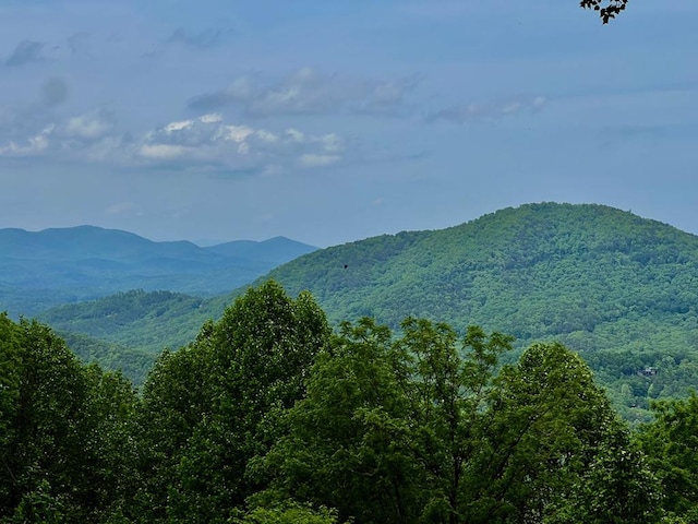 M164 Walnut Rdg, Ellijay, GA 30336