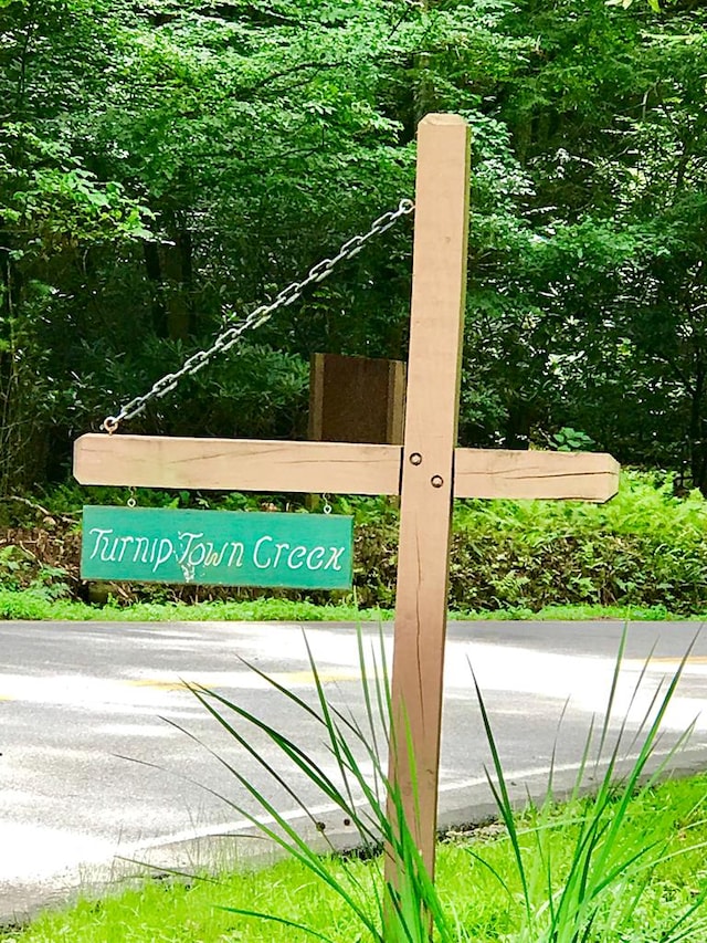 M164 Walnut Rdg, Ellijay, GA 30336