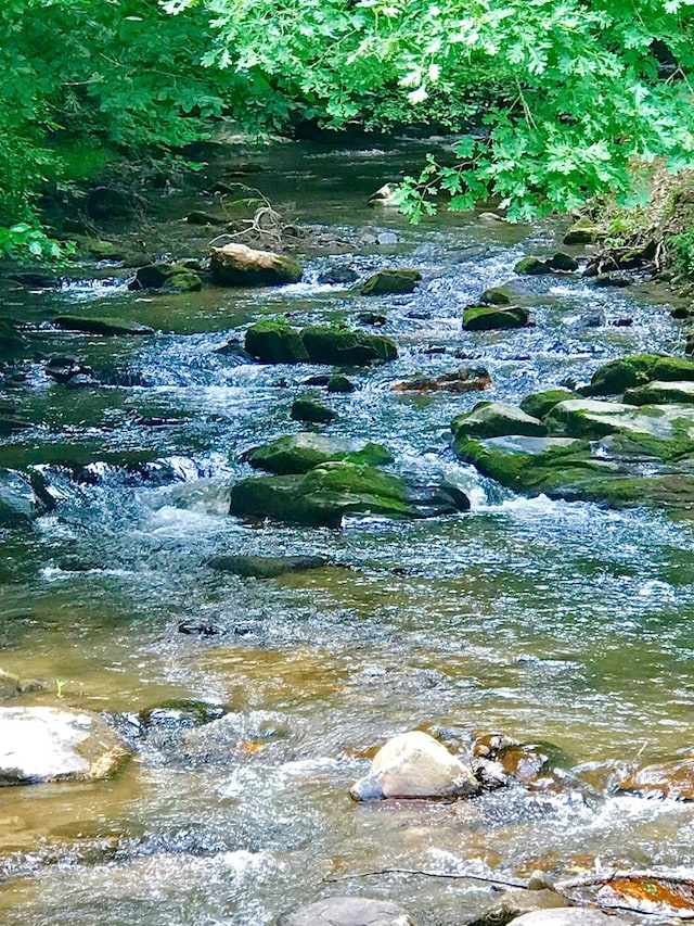 M164 Walnut Rdg, Ellijay, GA 30336