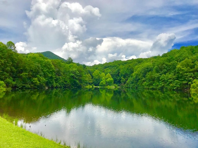 M164 Walnut Rdg, Ellijay, GA 30336