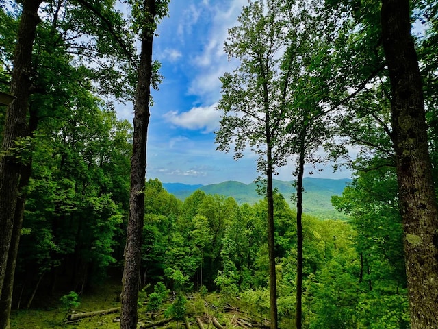 M164 Walnut Rdg, Ellijay, GA 30336