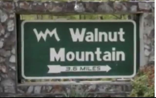 M164 Walnut Rdg, Ellijay, GA 30336