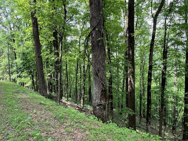 M164 Walnut Rdg, Ellijay, GA 30336