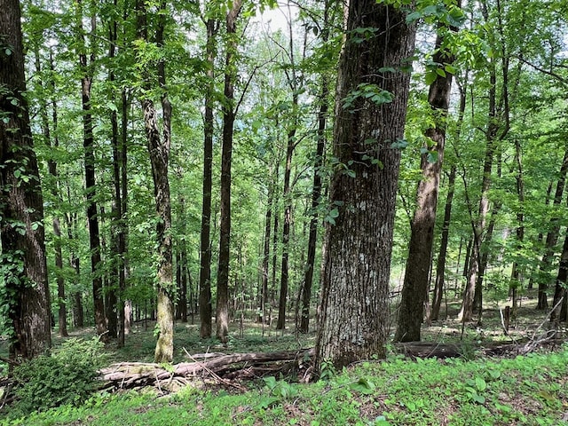 M164 Walnut Rdg, Ellijay, GA 30336