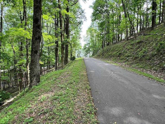 M164 Walnut Rdg, Ellijay, GA 30336