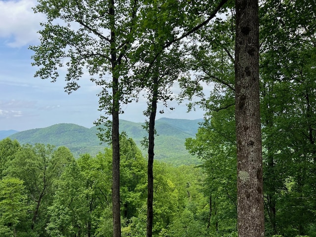 M164 Walnut Rdg, Ellijay, GA 30336