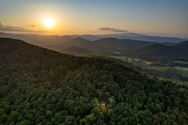 mountain view featuring a wooded view