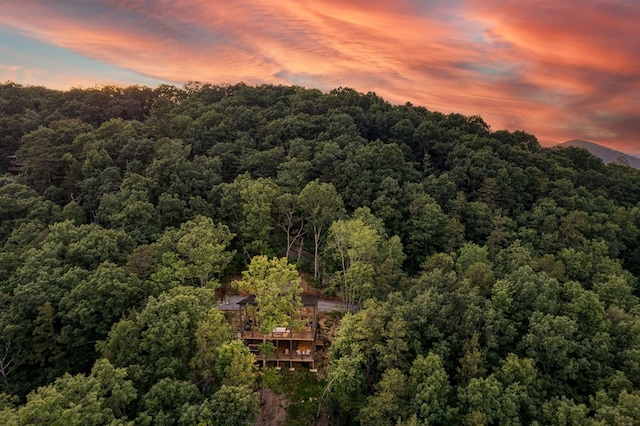 aerial view at dusk with a forest view