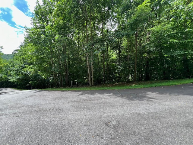 00 Overlook Dr, Young Harris GA, 30582 land for sale